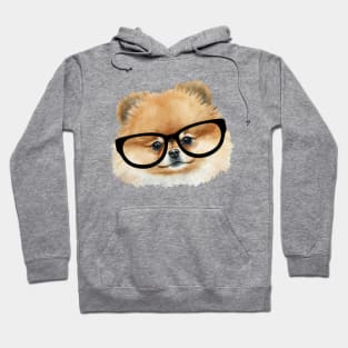 Cute  pomeranian dog with eye glasses Hoodie